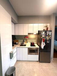 Eight Riversuites (D12), Condominium #504538981